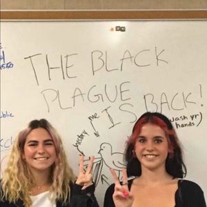 Meet your Posher, Gabby